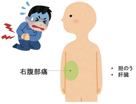 腹痛の原因が不明！？考えられる病気を徹底解説 お腹の相談所