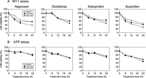 Time Dependent Changes Of Cell Viability Assessed By Mtt And Atp Assays