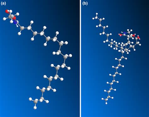 Mm2 Minimization Of Geometries For A Stearoylethanolamide And B