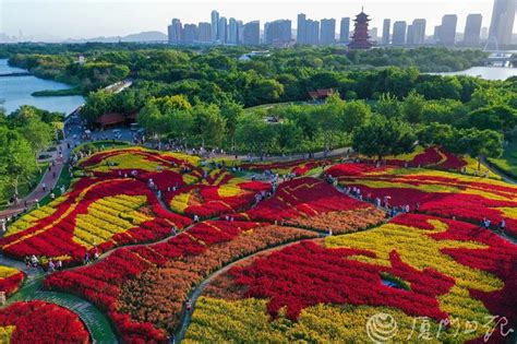 喜讯！厦门市再获评“国家卫生城市”