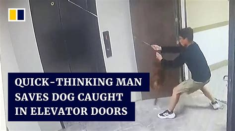 Quick Thinking Man Saves Dog Caught In Elevator Doors In China The