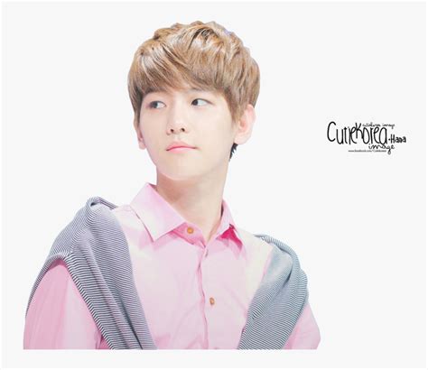 Exo Baekhyun Cute Png Transparent Png Kindpng