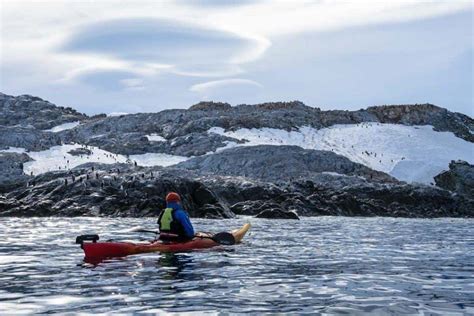 Sea Kayaking In Antarctica The Ultimate Guide For 2024 NOMADasaurus