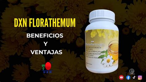 Florathemum DXN Para qué sirve el Florathemum DXN YouTube