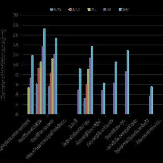 Diameters Of Inhibition Zones Mm Of Mint Essential Oil At Different