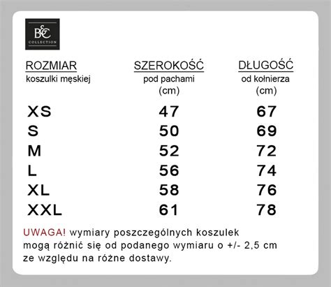 Koszulka Męska Lew Judy Koszulki chrześcijańskie 3454 MeritoHurt Pl