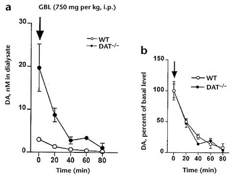 Effects Of Gbl Mg Per Kg I P On Extracellular Dopamine Levels