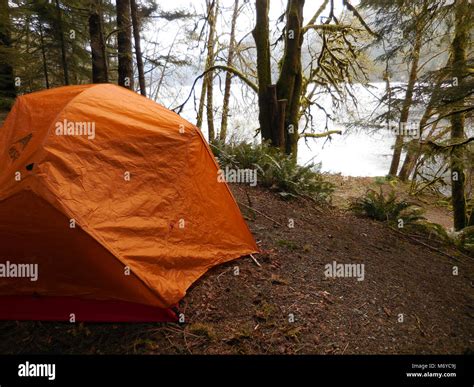 Tent Camping Lake Crescent Campground Orange Stock Photo Alamy