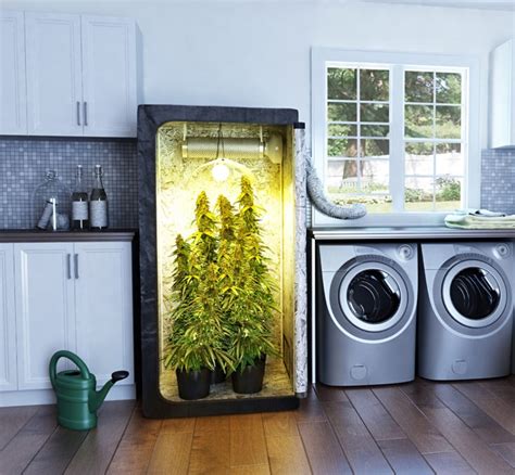 Einen Growraum Bauen Cannabis Indoor Anbau Raum Einrichten