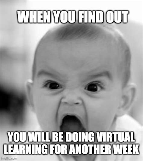 More Virtual Learning? - Imgflip