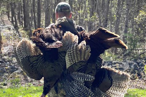 Turkey Hunting