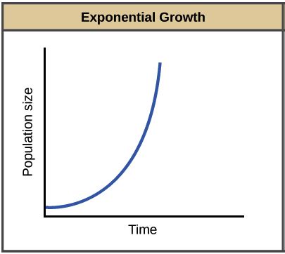 Exponential Growth Equation