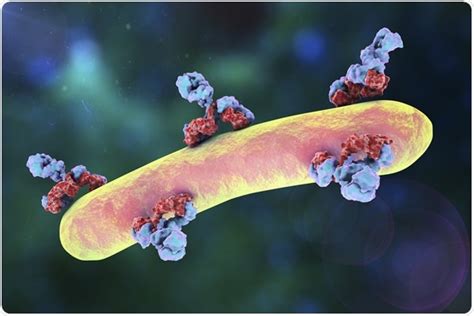 Antigen Antibody Interaction Animation