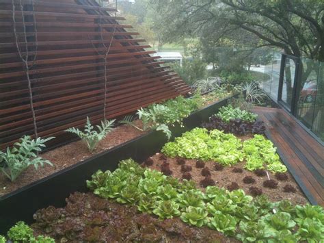 Rooftop Edible Gardens Hawk Haven