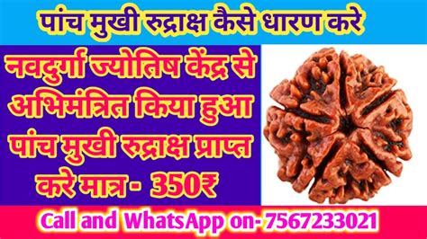 पांच मुखी रुद्राक्ष कैस धारण करें Panch Mukhi Rudraksha Kaisen Dharn