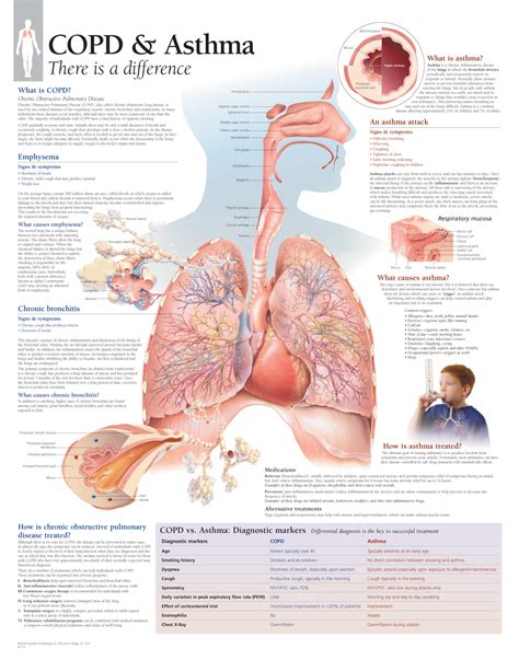 Copd Medications Inhaler Colors Chart Copd Inhalers Chart Uk Kronis