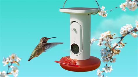 Bird Buddys New Smart Hummingbird Feeder Lets You Watch Even More Of