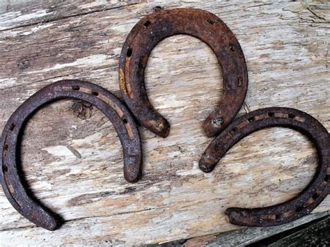 Antique Iron Horseshoes Set Of Three To Fit Baby Horse Momma Etsy