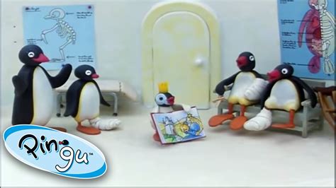 Pingu And His Family Learn About The World! @Pingu 1 Hour | Cartoon For Kids - YouTube