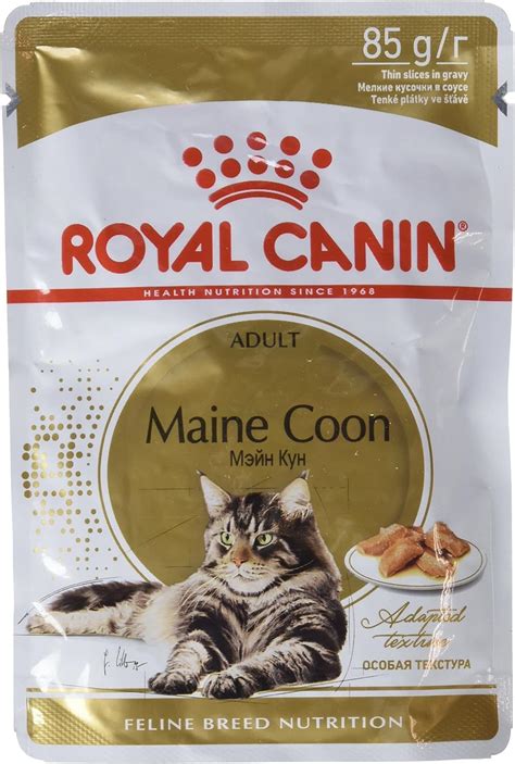 Royal Canin Maine Coon Adult Cat Food G Amazon Co Uk Pet Supplies