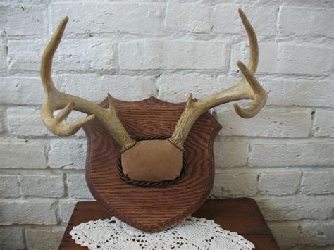 Vintage Deer Antlers Mounted Wall Hanging 8 Point Rustic 70