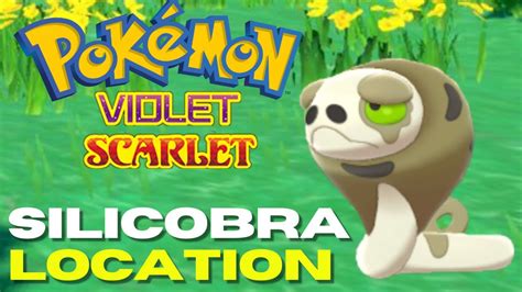 How To Get Silicobra In Pokémon Scarlet Violet Early Silicobra