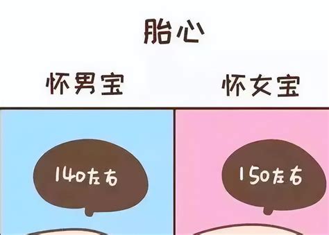 如何鉴别胎儿性别（可以从孕期症状看出胎儿性别？） 说明书网