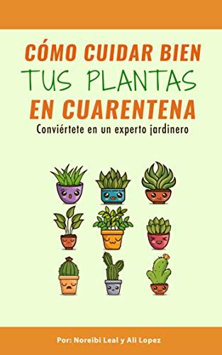 Imagenes De Como Cuidar Las Plantas Consejos Para Cuidar Las Plantas