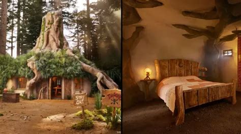 Get Ogre Eager You Can Now Book A Stay In Shreks Swamp On Airbnb