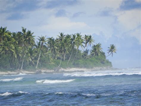 Tuvalu, Funafuti Atoll, the Beach Stock Image - Image of main, scenes ...