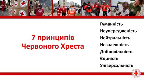 7 фундаментальних принципів Міжнародного Руху Червоного Хреста і