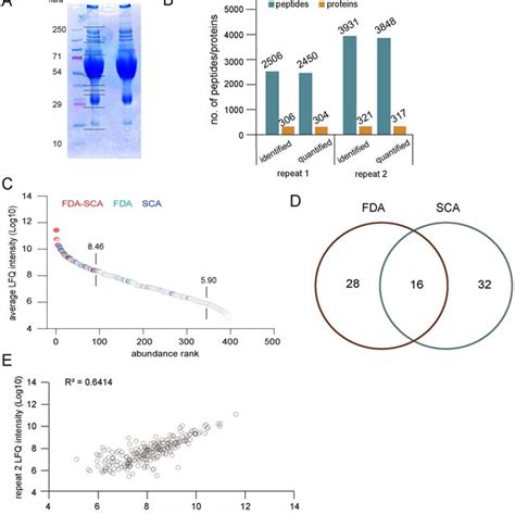 Plasma Proteome Profiling Workflow 2—depletion Of High Abundant