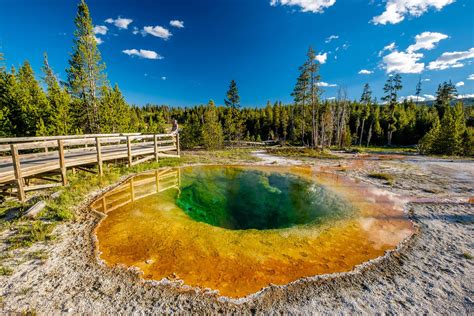 Morning Glory Pool In Yellowstone S Upper Geyser Basin Yellowstone National Park