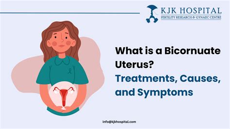 What Is Bicornuate Uterus Treatments Causes And Symptoms