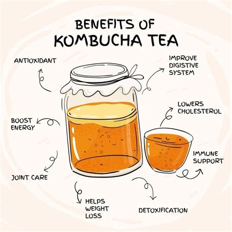 Discover The Health Benefits Of Kombucha Tea