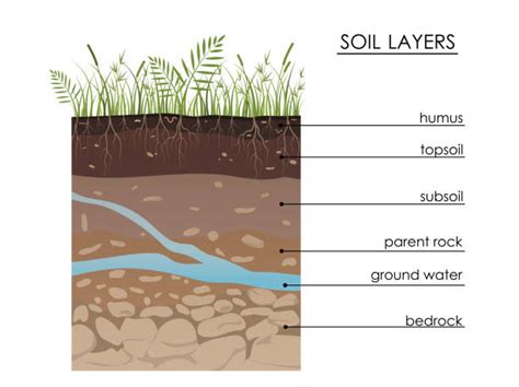 36+ Diagram Of Soil Horizons - EbenMoazzam