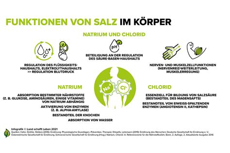 Infografiken Zum Salz I Land Schafft Leben