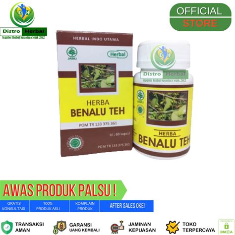 Jual Kapsul Ekstrak Benalu Teh Obat Herbal Kanker Dan Tumor Herbal Indo