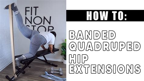 Long Resistance Bands How To Banded Quadruped Hip Extensions Youtube