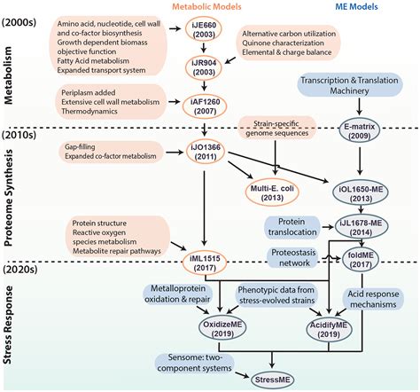 Genome Scale Metabolic Models Systems Biology Research Group