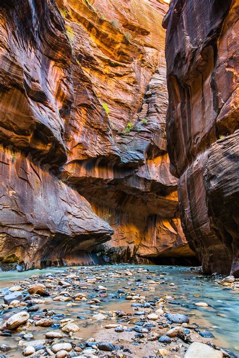 The Narrows in Zion National Park | Get Inspired Everyday! | Zion national park photography ...