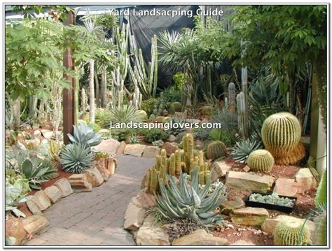 Cactus Plants For Landscaping