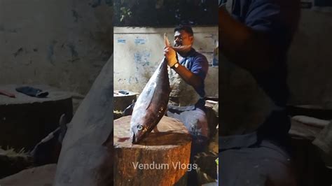 Kasimedu Speed Selvam Big Tuna Fish Cutting Tuna Fish Slice Cutting