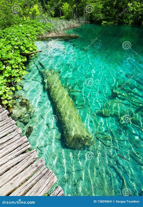 Nice Small Lake In Croatian National Park Plitvice Lakes With Submerged