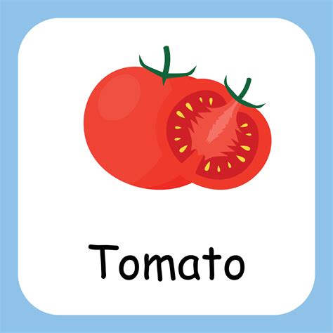 Tomato Clip art with text, Flat design. Education for kids. Vector Illustration 11839018 Vector ...