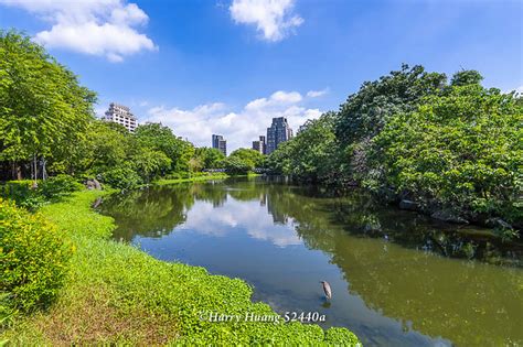 Harry52440a生態池池塘人工湖大安森林公園公園綠地台北市大安區台北 A Photo On Flickriver