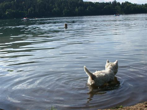 Hitzewelle im August: Ab ins kühle Nass! - Steinfeld