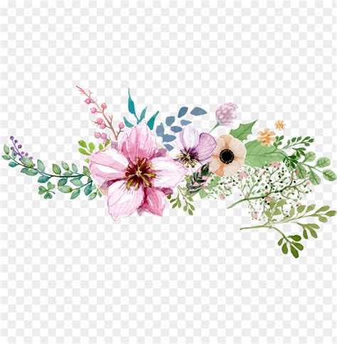 Watercolor Flower Borderround Png Watercolour Flower Border PNG Image