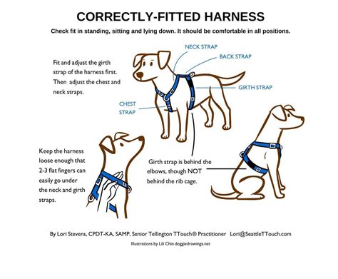 Harness Fit Seattle Ttouch