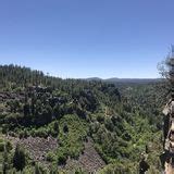 Photos Of Sycamore Rim Trail Arizona Alltrails